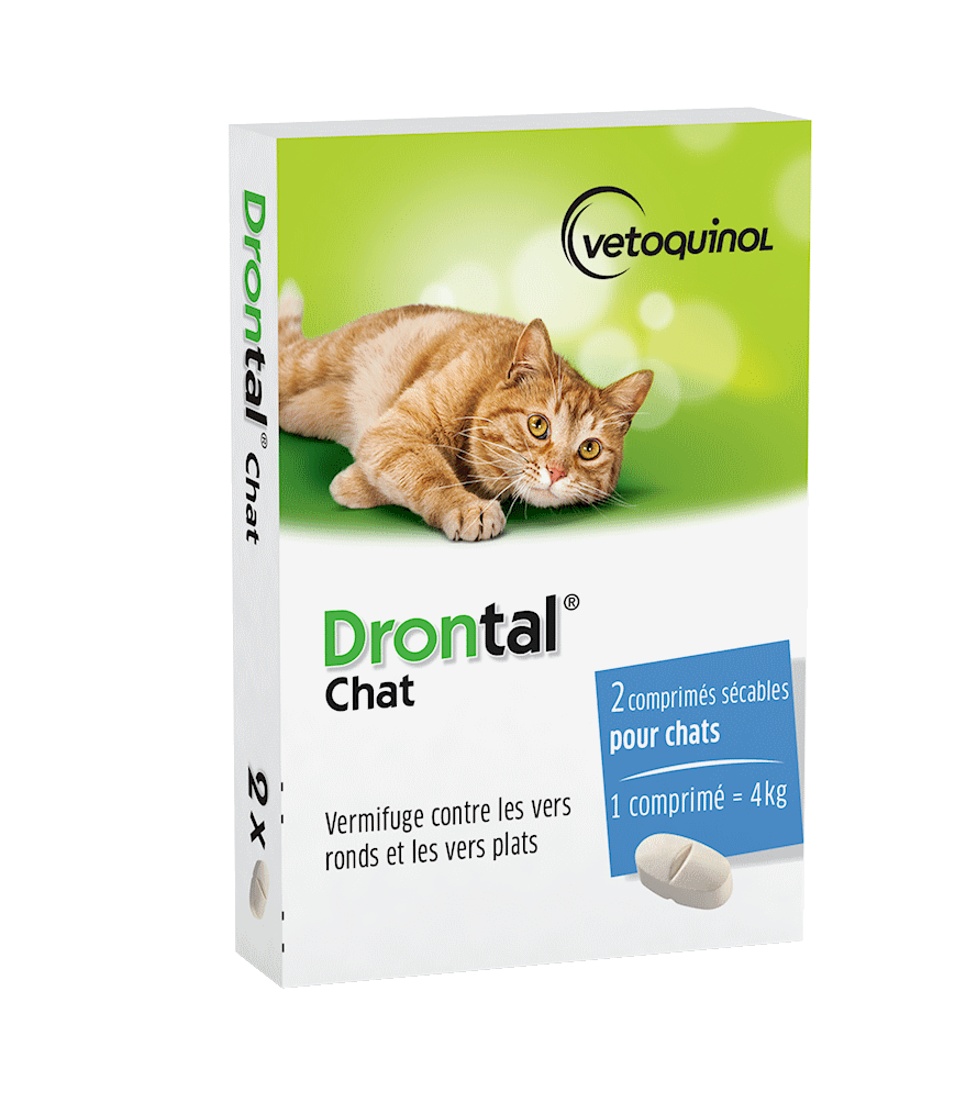 Drontal Chat ® Vermifuge Drontal Chat Comprimés