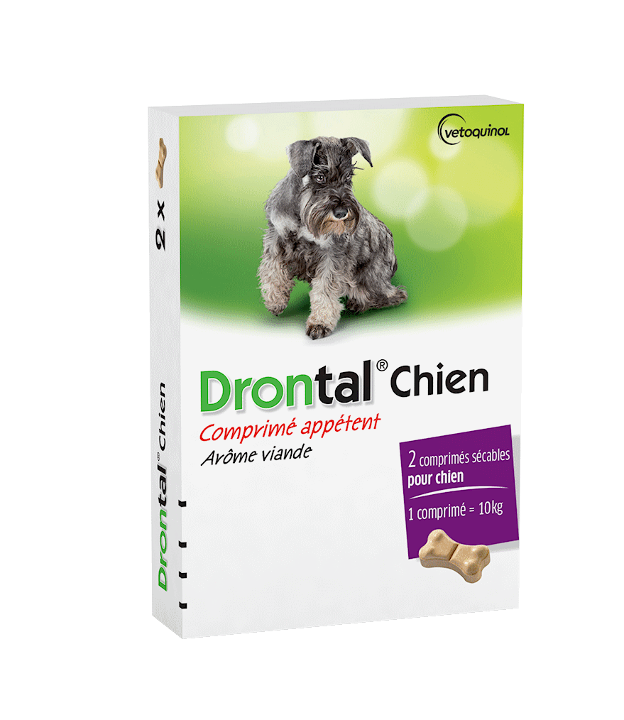 Drontal Chien Vermifuges Pour Chiens