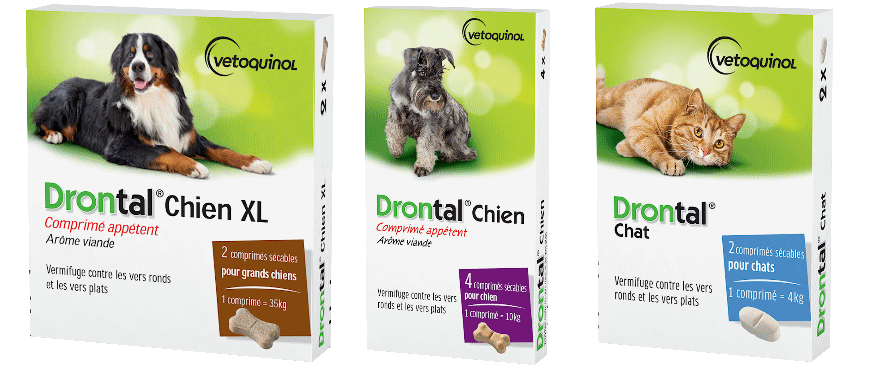 Drontal Chien Vermifuges Pour Chiens