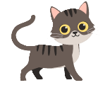 chat qui sort de plus de 6 mois