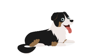 chien de 10 semaines à 6 mois